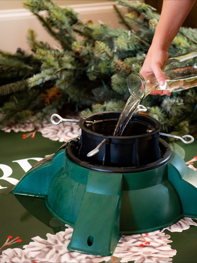 Keep The Water Reservoir Full Every Single Day