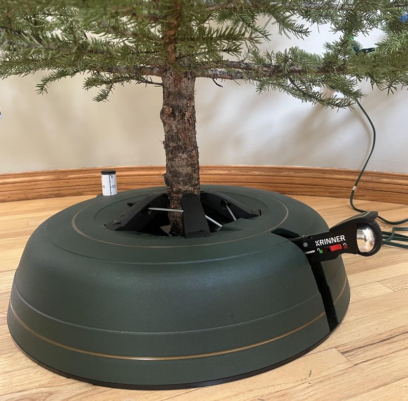 Maintain Your Tree With Proper Watering