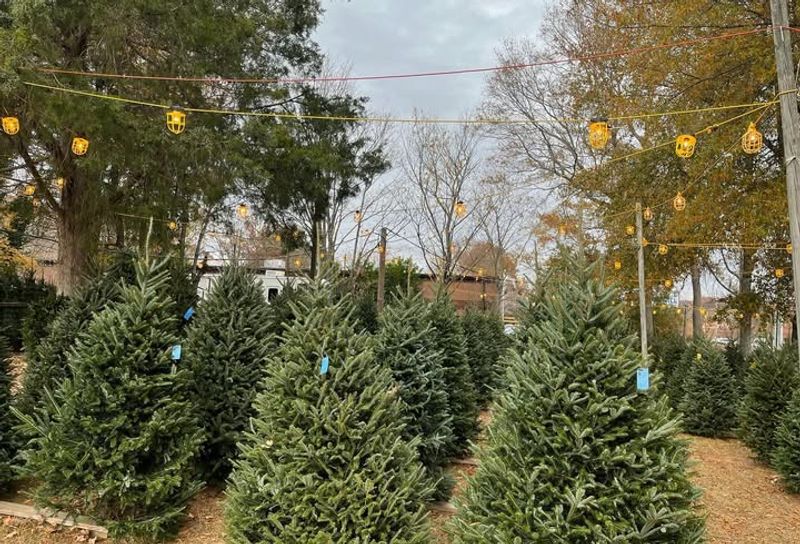 Buy from Nonprofit Organizations and Churches