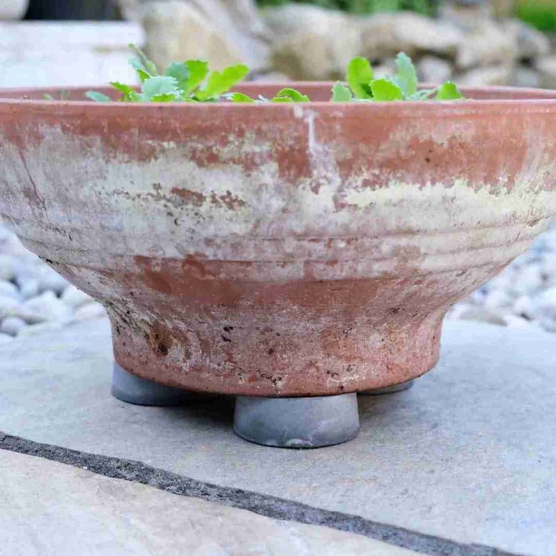 Reducing Mold And Mildew Growth