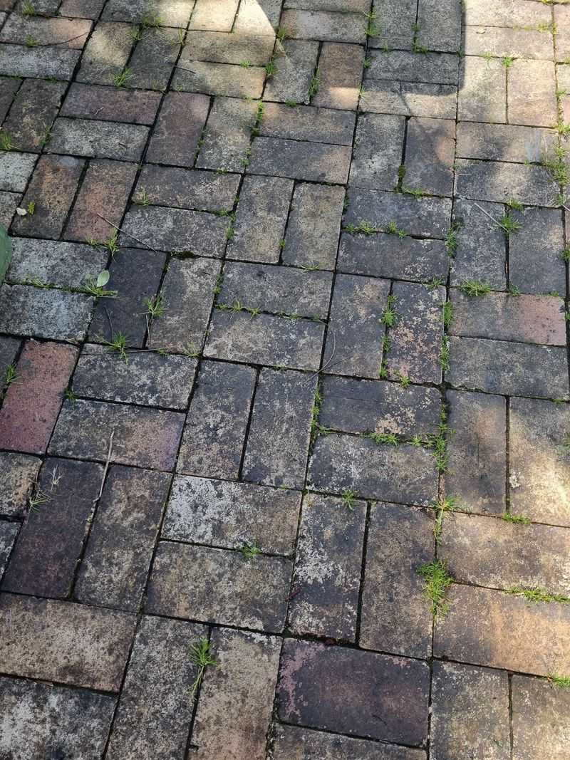 Sanitizing High-Traffic Areas Before Holiday Gatherings