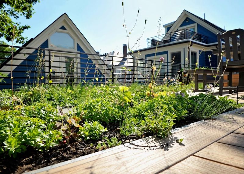 Extending Roof Lifespan By Protecting Membrane