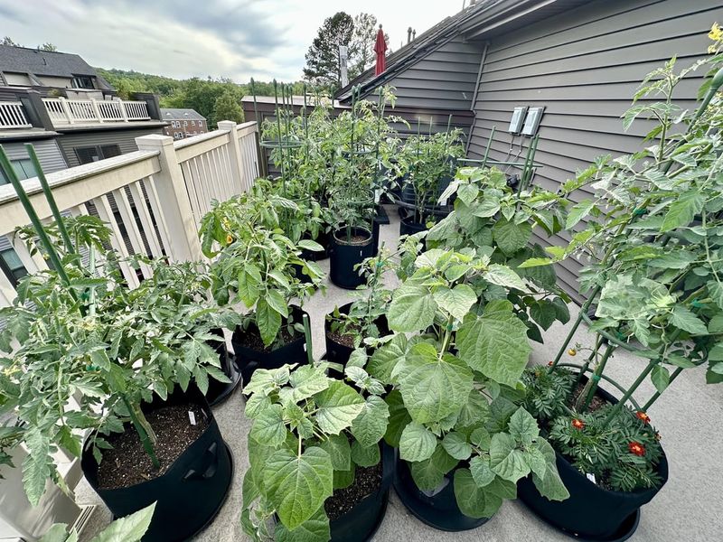 Creating Habitats for Urban Wildlife