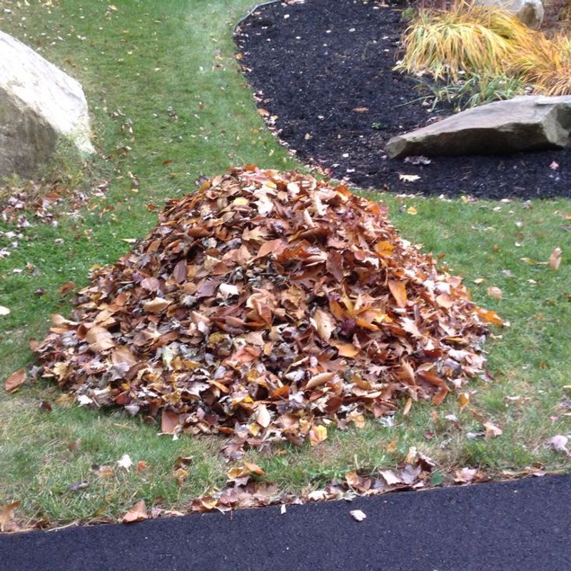 Which Organic Materials Are Covered Under The Rules