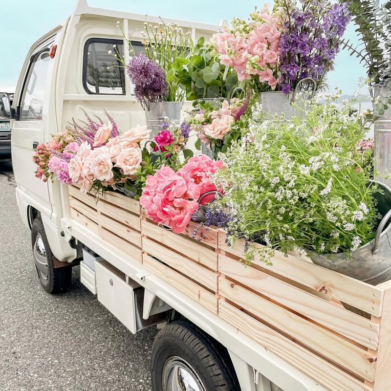 Delivery Logistics Planned For Spring Distribution