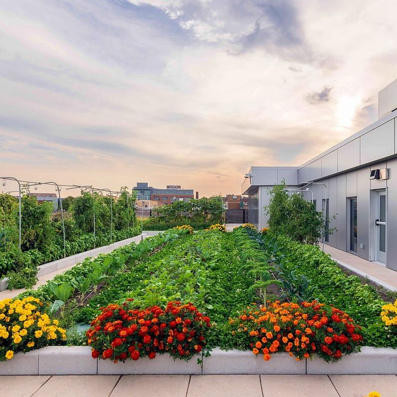 Cambridge University District Plot