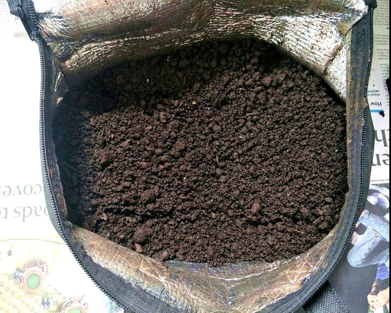 Rich Soil Creation Happens Faster Than You Think