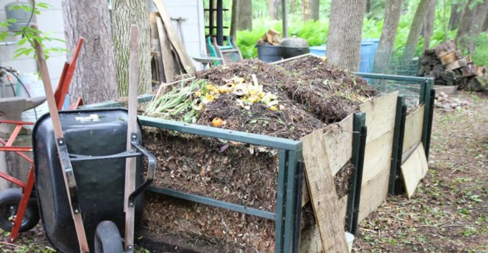Maryland Residents Are Discovering The Power Of Compost Science