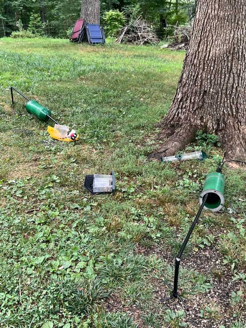 Destroyed Or Damaged Bird Feeders