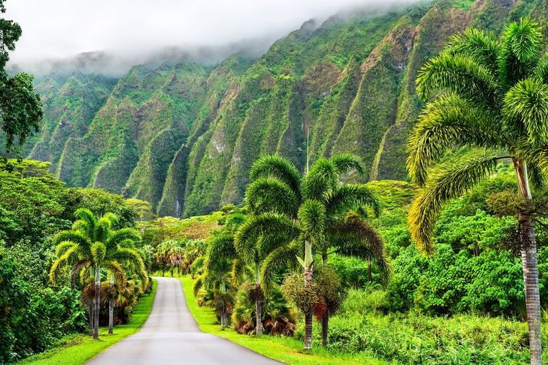 Ho'omaluhia Botanical Garden