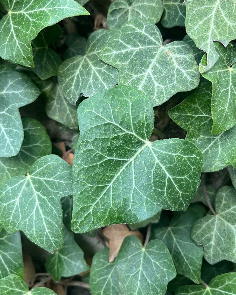 Document Everything for Legal Protection