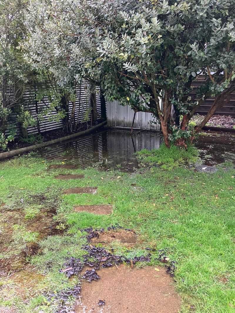 Filing A Nuisance Lawsuit May Be Necessary For Serious Cases