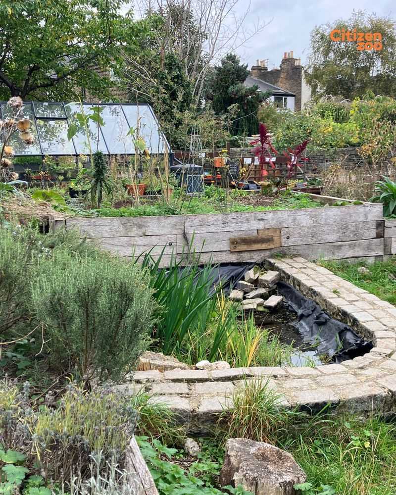 Sensory Gardens Engage All Five Senses