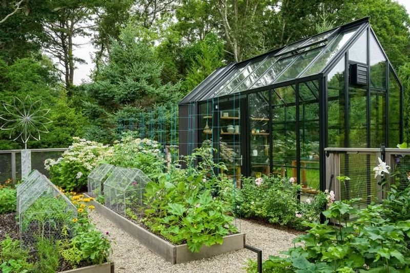 Edible Gardens Combine Wellness With Nutrition