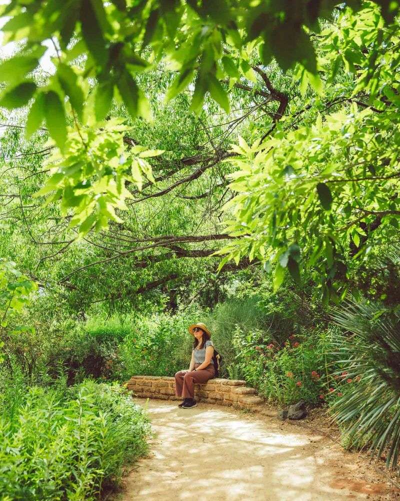 Japanese Garden Offers Peaceful Plant Displays