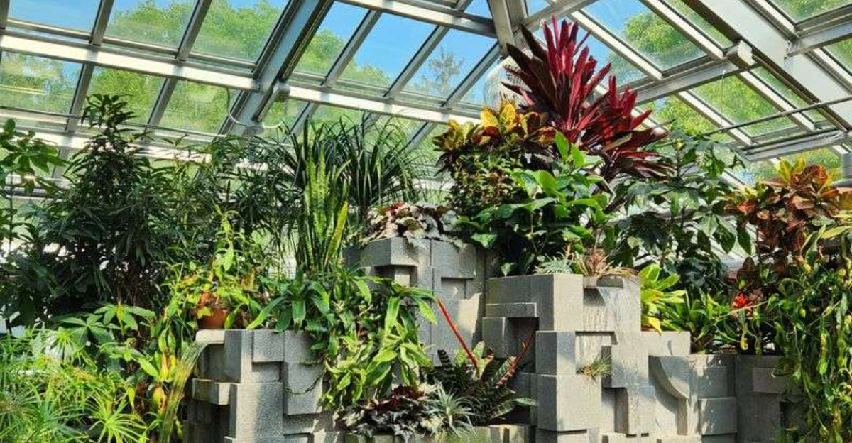 Michigan’s Most Stunning Winter Greenhouses You Can Tour Right Now