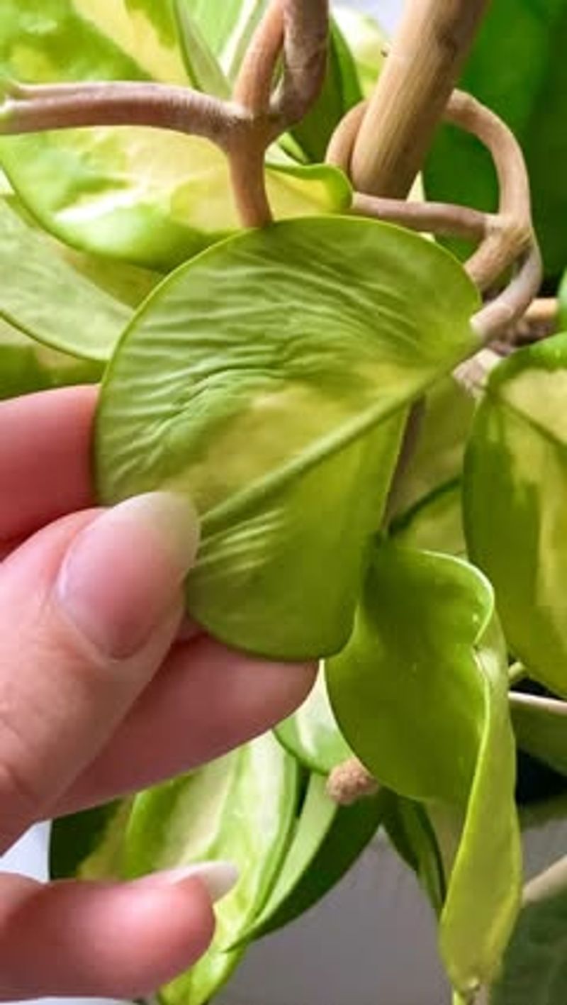 Moisture Retention Helps During Dry Winter Periods