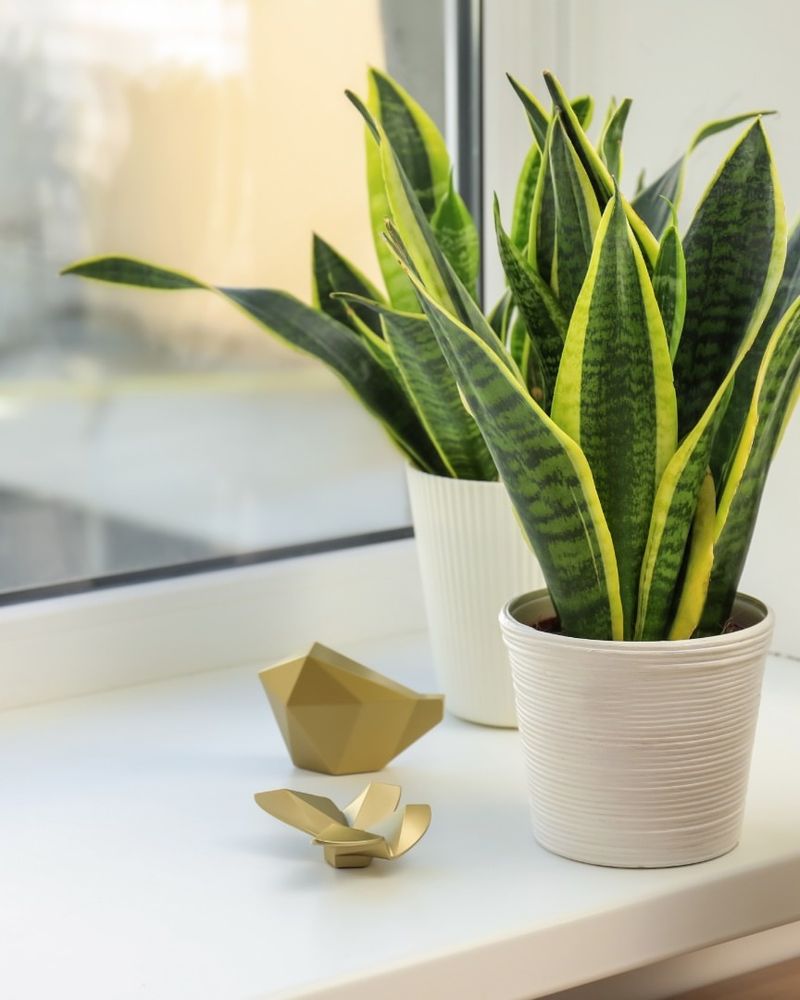 Brighter, Softer Winter Sunlight