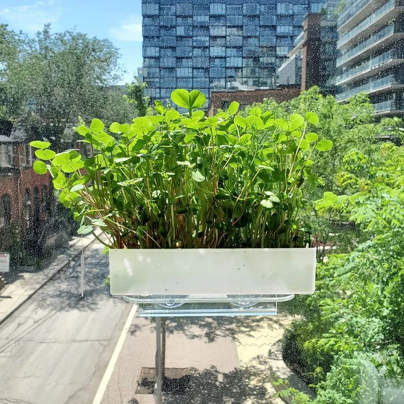 Environmental Benefits For Urban Sustainability