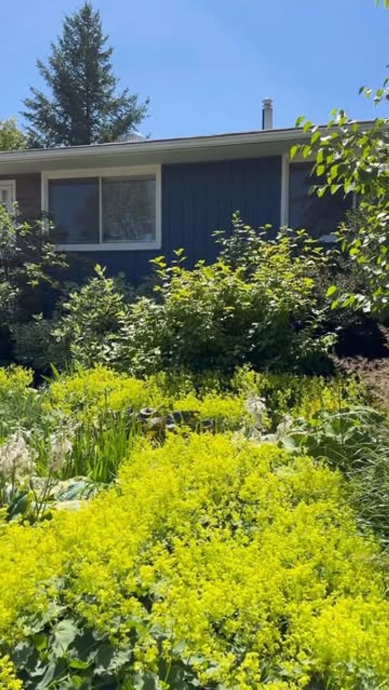 Professional Installation Is Not Required for Rebates