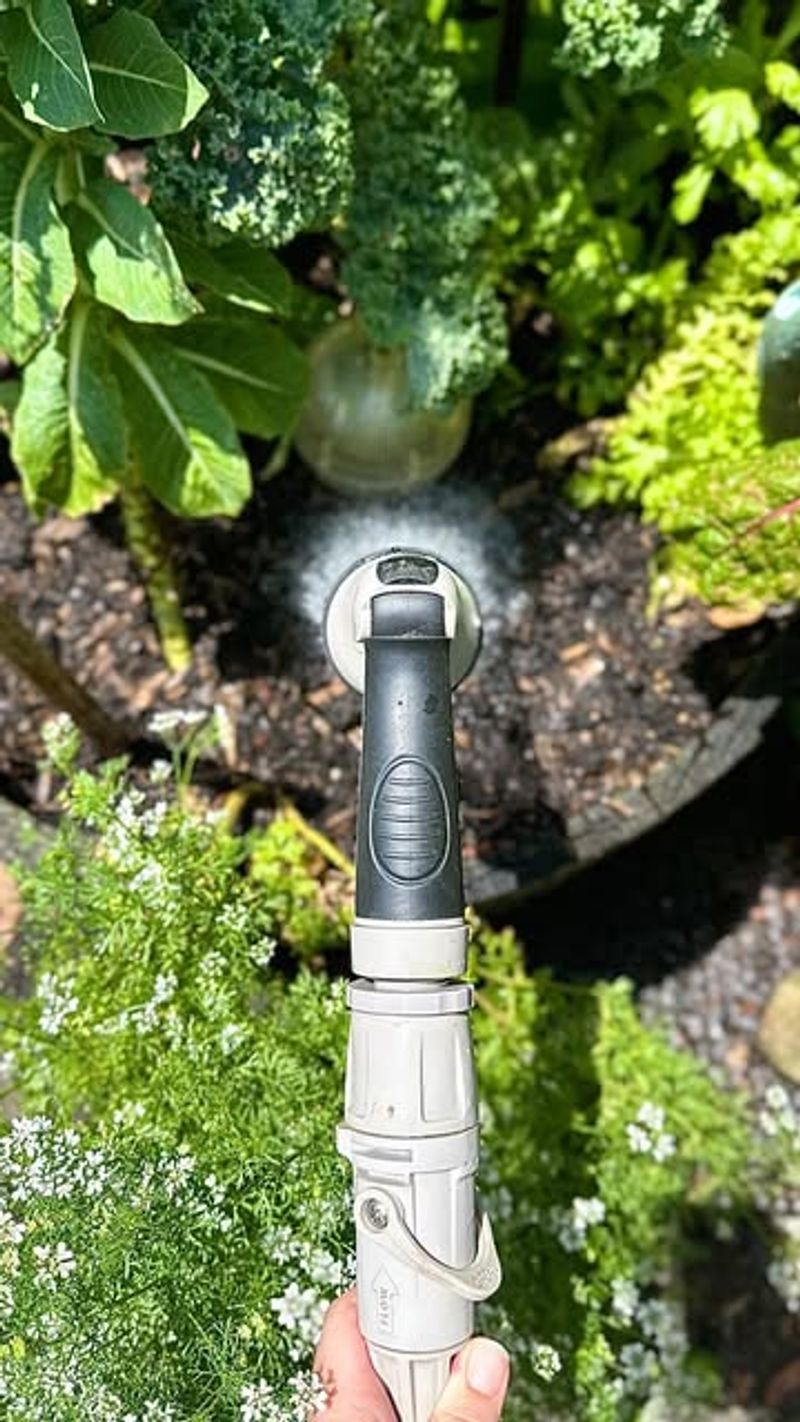 Neglecting Mulch and Soil Moisture Retention