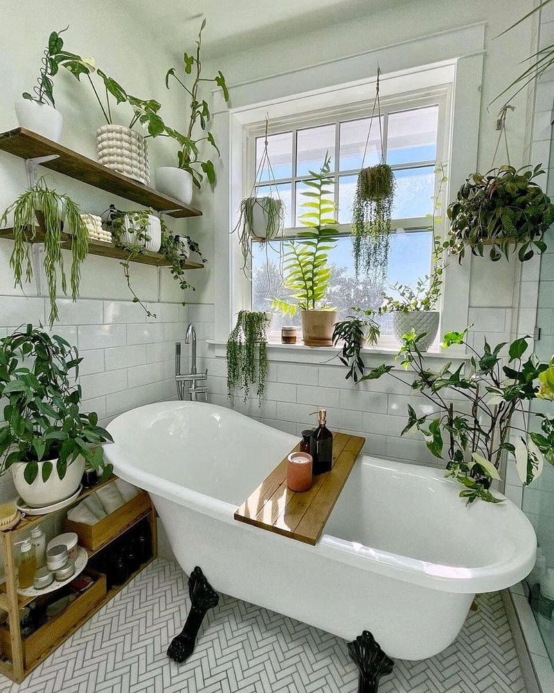 Place Plants In Naturally Humid Rooms Like Bathrooms
