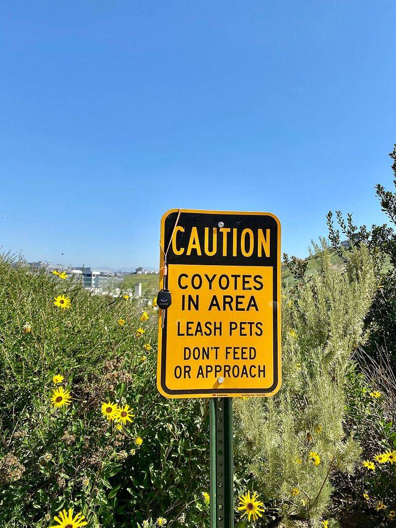 Mistake: Approaching Or Attempting To Touch The Animal