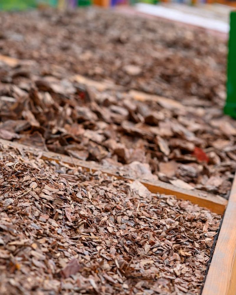 Use Leaf Mold As Mulch Around Plants