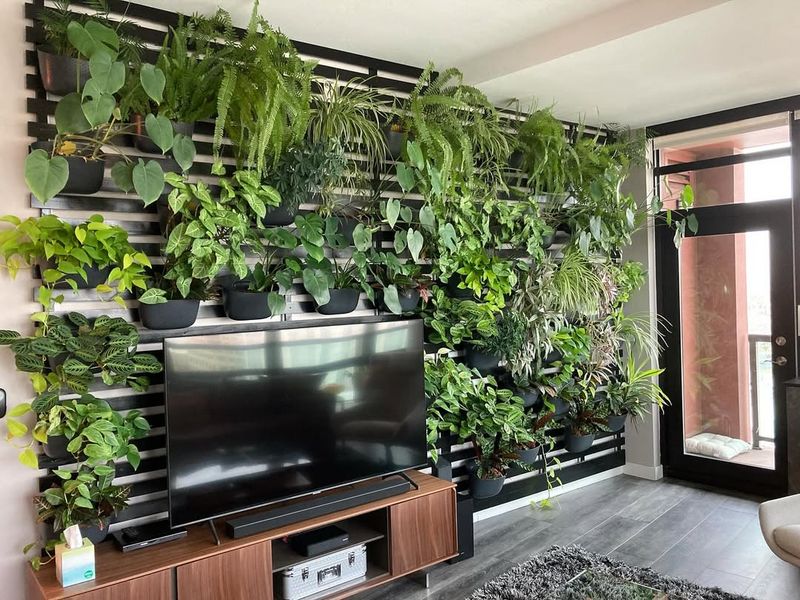 Understanding Sunlight Needs for Placement