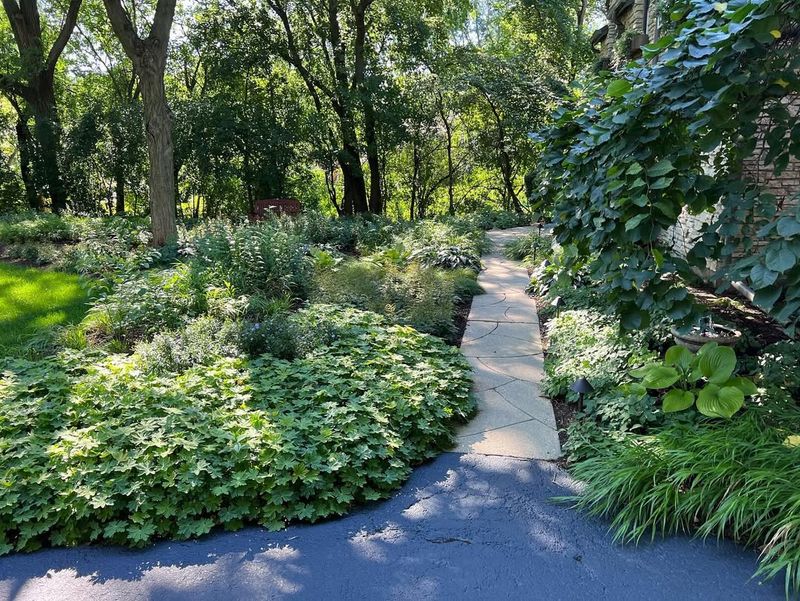 Woodland Garden Style