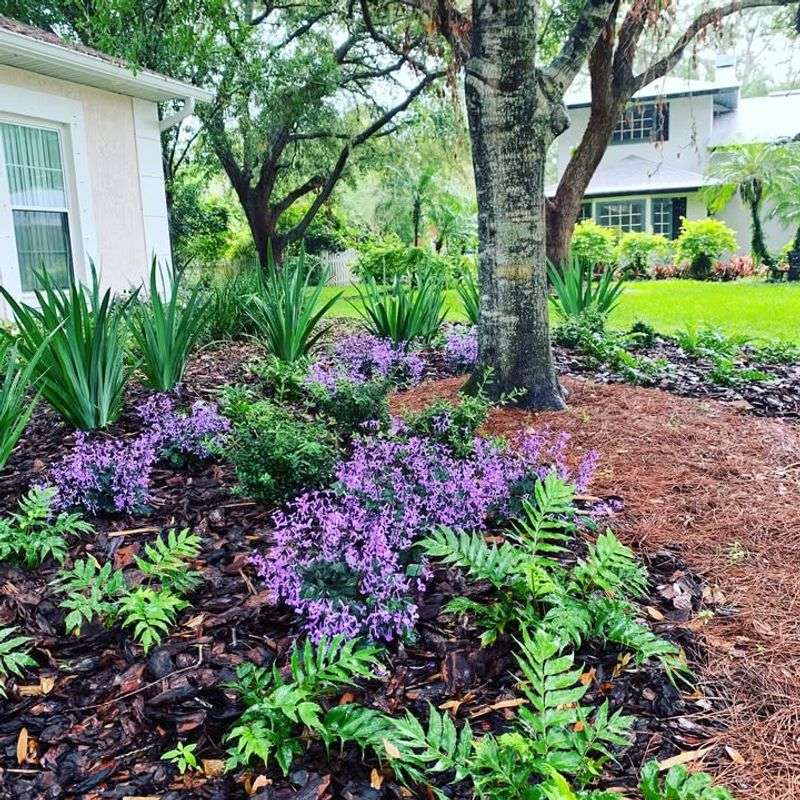 Woodland Shade Gardens