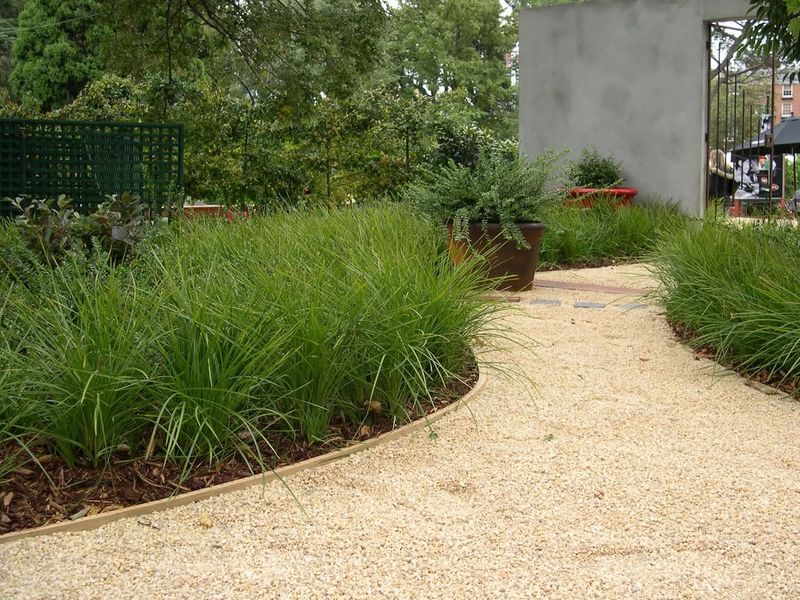 Ground Covers Create Ideal Hiding Spots