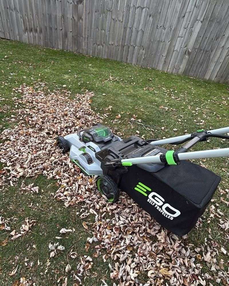 Shred Leaves To Speed Up Decomposition Time