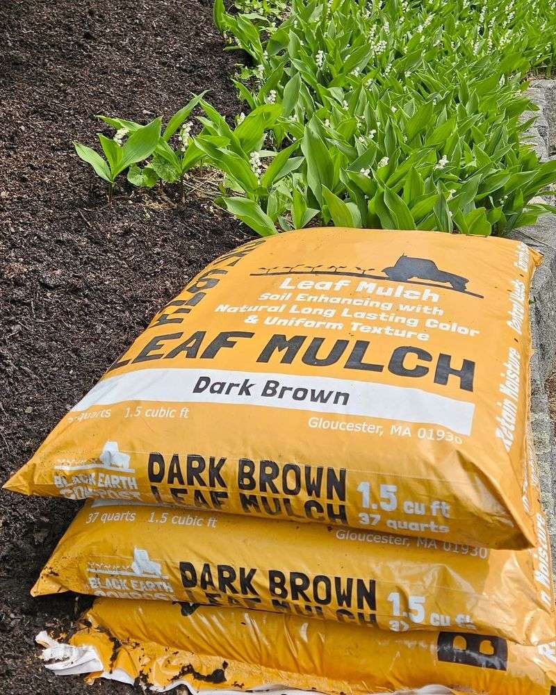 Winter Protection For Plant Roots