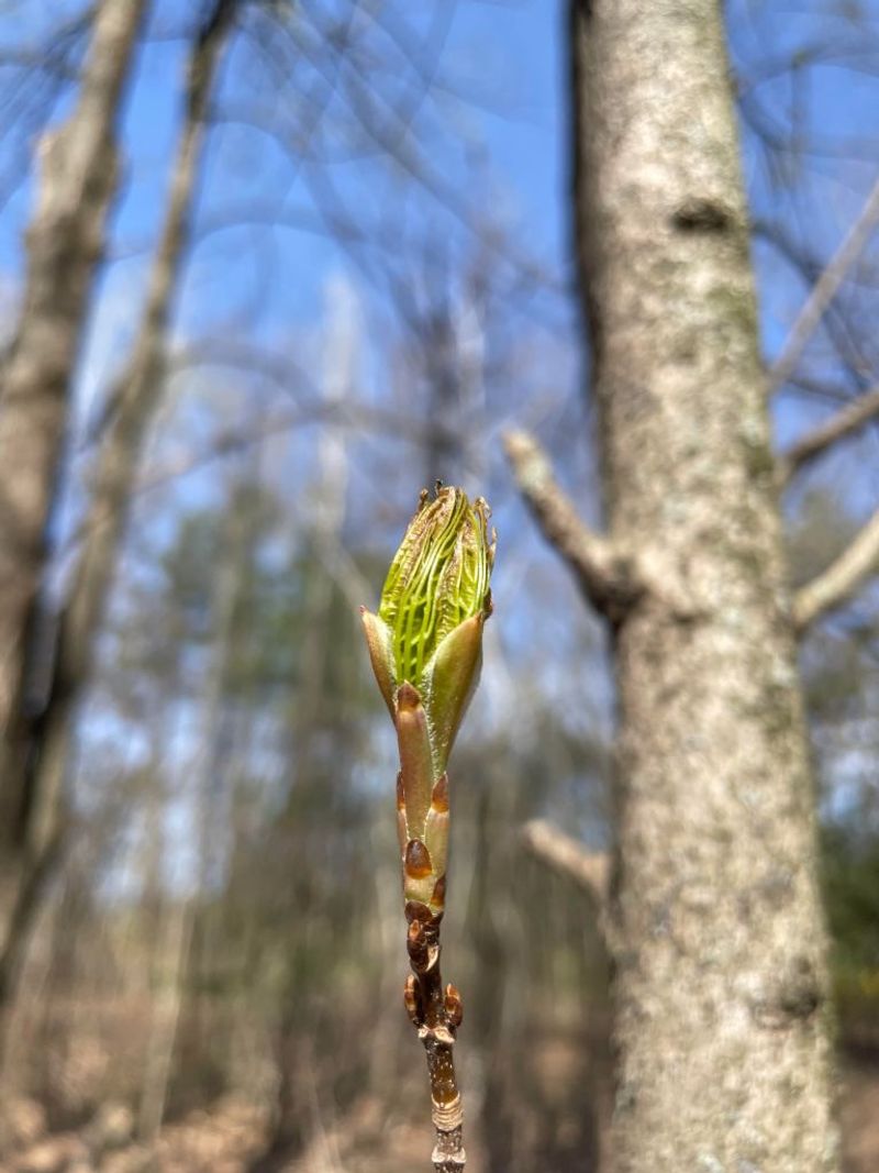 Plan For Spring Recovery Before Winter Ends