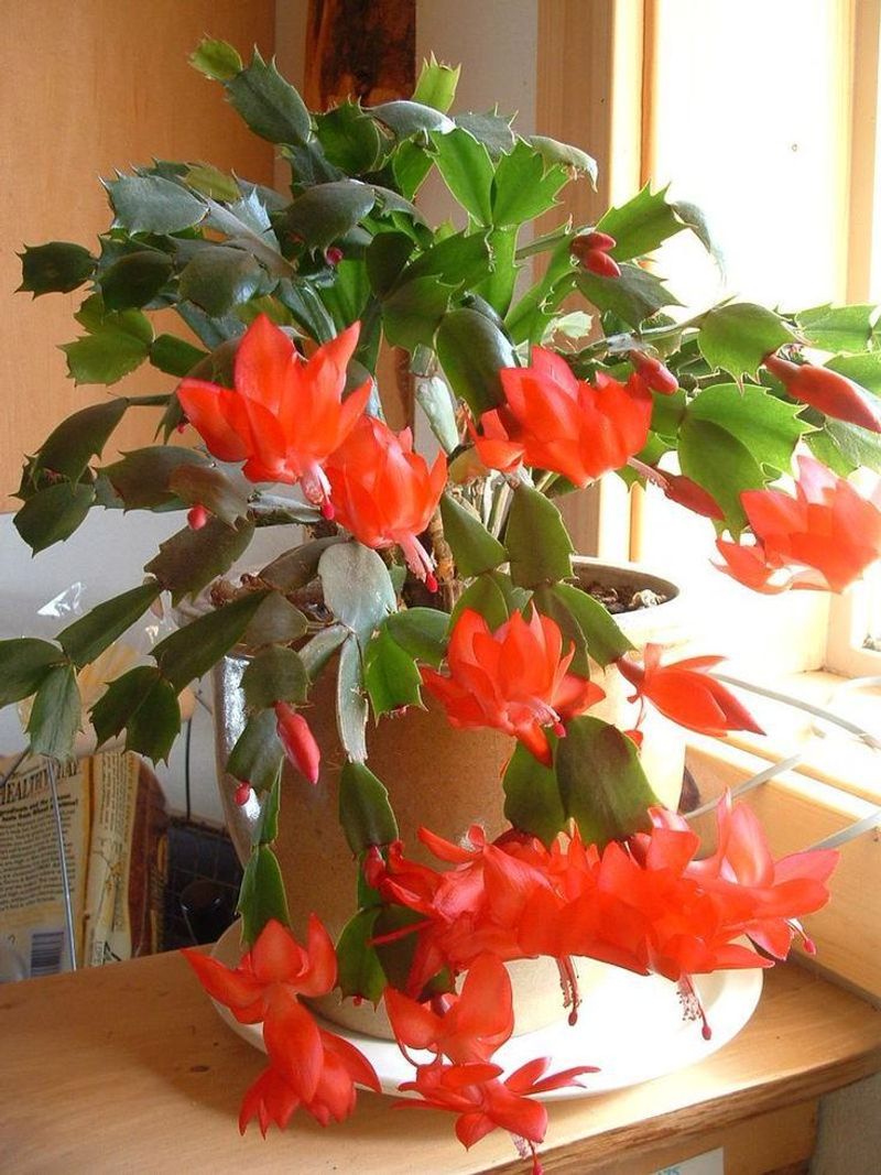 Avoid Watering On Extremely Cold Days