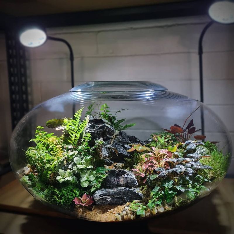 Create A Terrarium For Plants Requiring Extreme Humidity