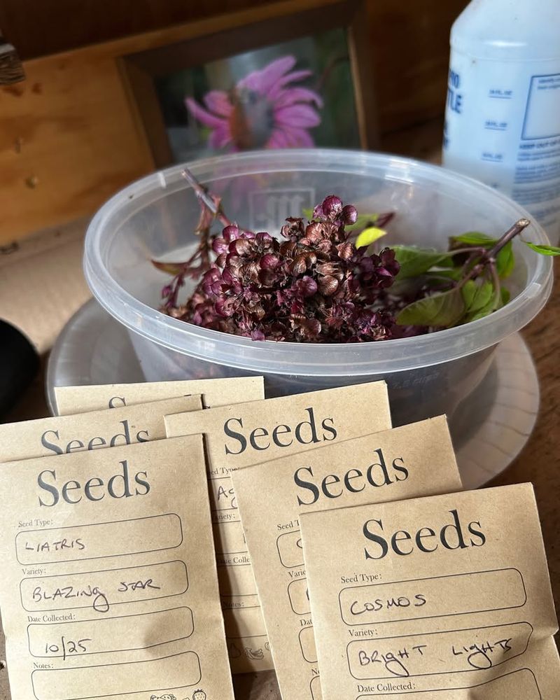 Early Seed Starting Requires Winter Supplies