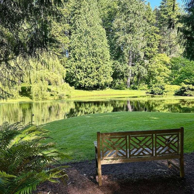 Reflection Pool Provides Mirror-Like Serenity