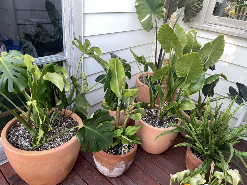 Elevate Pots off the Ground