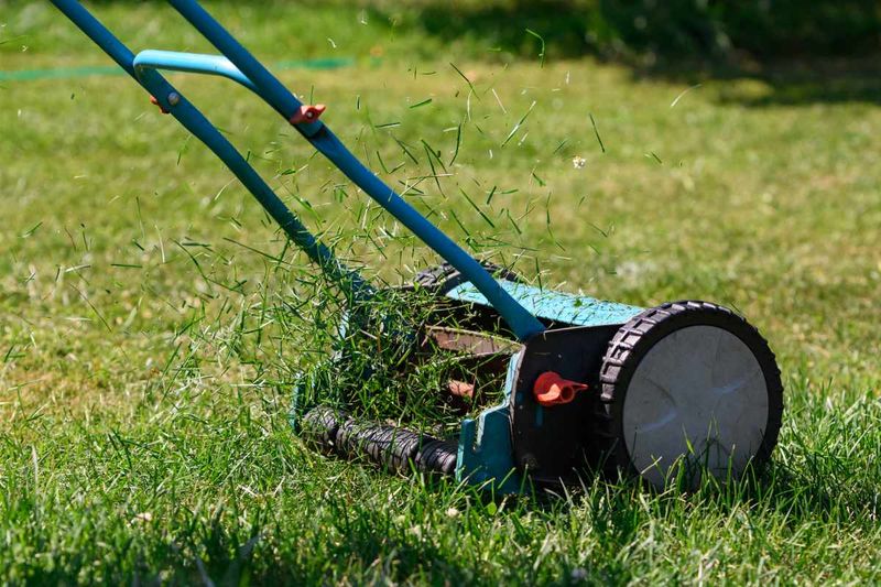 Leave Grass Clippings On Your Lawn After Mowing