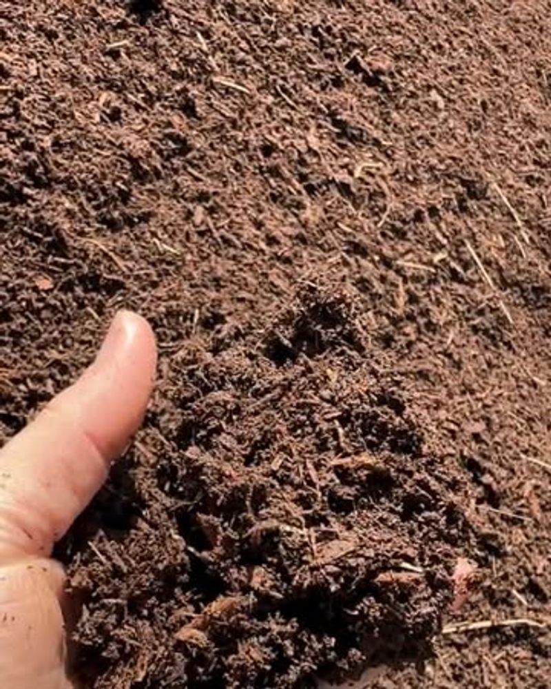 Natural Carbon Accumulation Changes Soil Tone