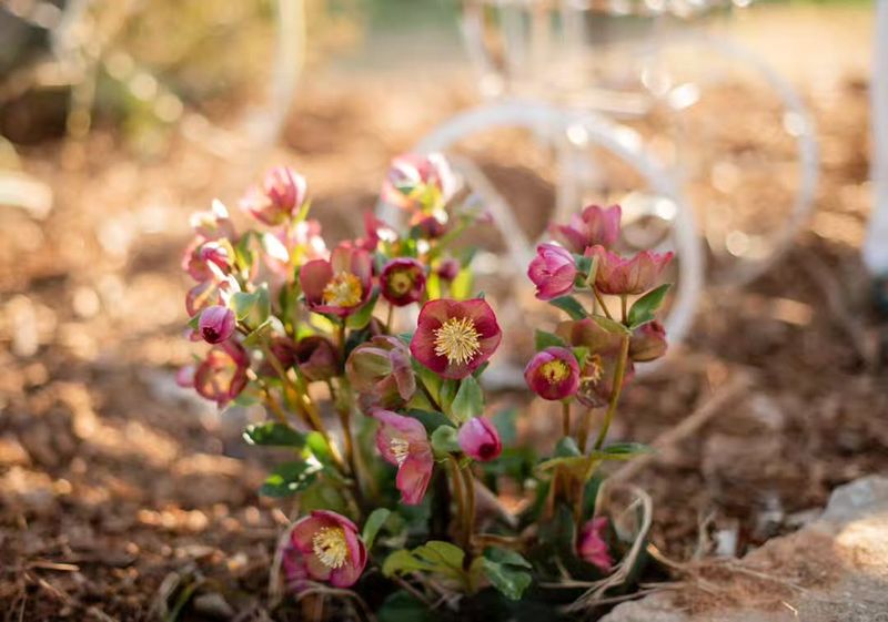 Water Wisely Even During Cold Months