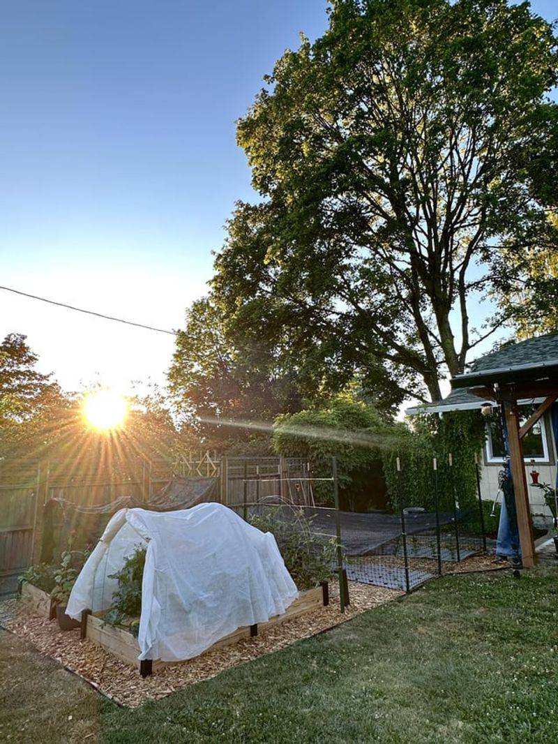 Provide Shade Cloth On The South Side
