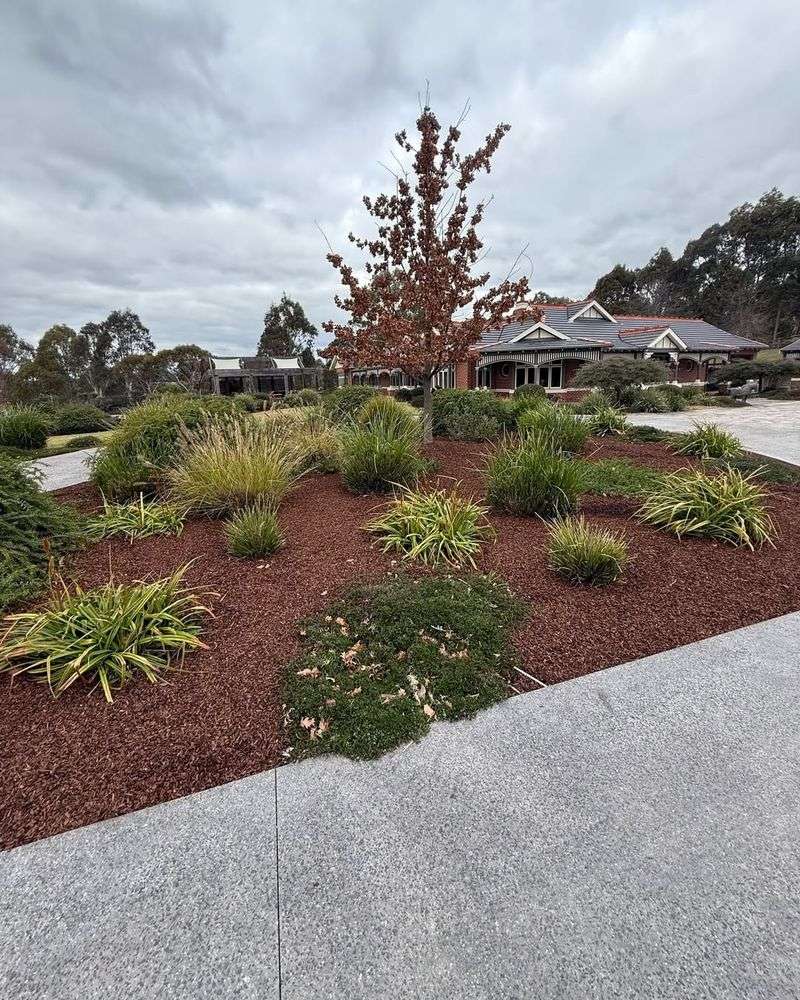  Neglecting To Pull Mulch Back In Spring