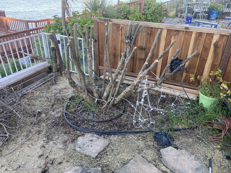 Spite Fences And Malicious Trimming