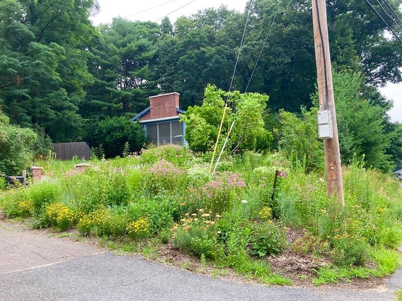 Nuisance Laws And How They Apply To Weeds