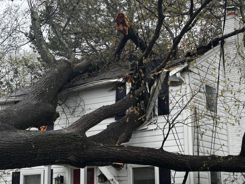 Documentation Protects Your Interests Before and After Damage