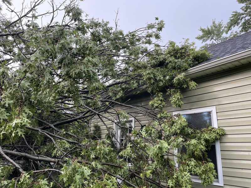 Small Claims Court Offers An Affordable Option For Minor Damage Disputes