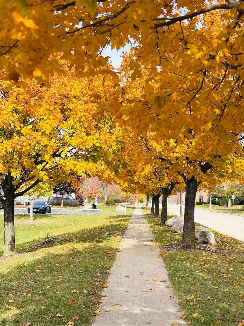 Homeowner Associations Can Establish Stricter Standards